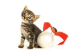 Kitten sitting beside a Christmas ornament