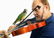 Man playing violin with a bird on it