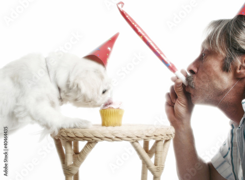 Foto: Man playing with blowout while his dog is eating birthday cake Man playing with blowout while his dog is eating birthday cake