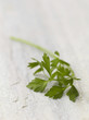 Parsley