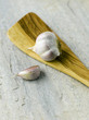 Garlics on spatula