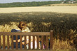 Boy and girl sitting on a bench