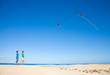 two brothers are flying kites in natural reserve dunes of Corral