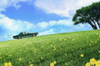 Toy man driving toy car with leaf in exhaust pipe driving up a mountain