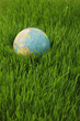 Globe on grass