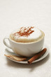 A cup of cappuccino