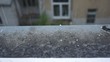Hagelkörner fallen auf Fensterbrett