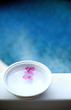 Flowers floating on a bowl of water