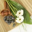 Flowers, wooden massager and small stones