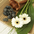 Flowers, wooden massager and small stones