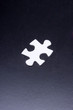 A piece of jigsaw puzzle