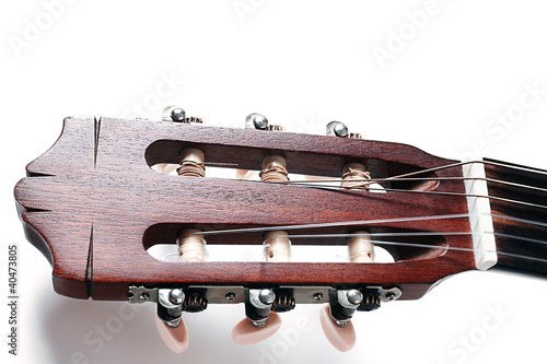 Photo: Acoustic guitar head Acoustic guitar head