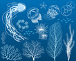Design elements