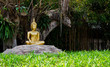 gold image of buddha under Bodhi tree gold image of buddha under Bodhi tree