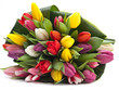 Tulpenstrauß