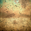 birds in the sky