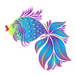 blue fish