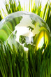 Globe and green grass