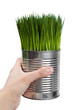 Green grass and metal can