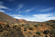 Desert scenery