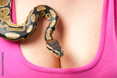Photo: Small python crawling over young woman breasts Small python crawling over young woman breasts