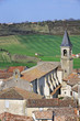 Charmant village du Tarn : Lautrec Charmant village du Tarn : Lautrec