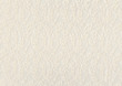 レース