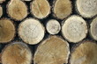 Stock of wood for a beautiful background