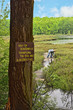 Protected Natural Bog Protected Natural Bog