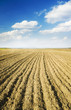 soil of an agricultural field