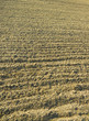 Plowed ground