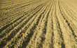 Plowed ground