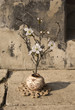 Branch in a vase