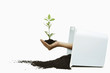Human hand holding seedling in soil coming out from toppled container
