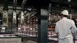 scientist working