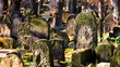 Jewish Cemetery at autumn, Krakow, Poland