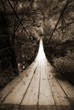 suspension bridge