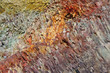 close-up relief of the rocks close-up relief of the rocks