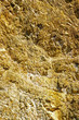 close-up relief of the rocks close-up relief of the rocks