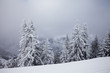 Foggy mountains in winter