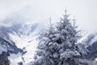 Foggy mountains