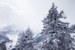 Foggy mountains in winter