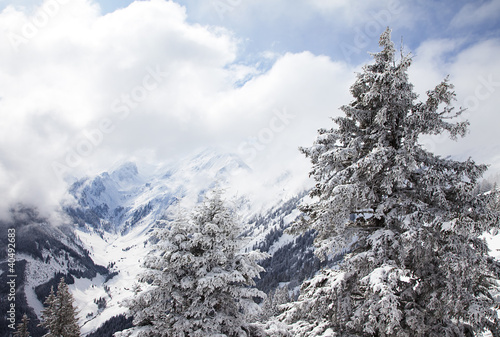 Photo: Foggy mountains in winter in Austrian Alps Foggy mountains in winter in Austrian Alps