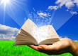 Illustration: libro in una mano libro in una mano