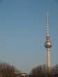 Berlin TV Tower, Germany with Copyspace Berlin TV Tower, Germany with Copyspace