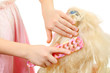 Girls hands combs doll hair by toy hairbrush isolated Girls hands combs doll hair by toy hairbrush isolated