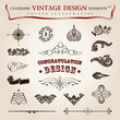 Vector set calligraphic vintage elements and page decoration, pr