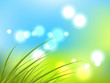 Spring background