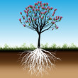 Blossom tree