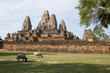 Pre Rup Temple with buffalo